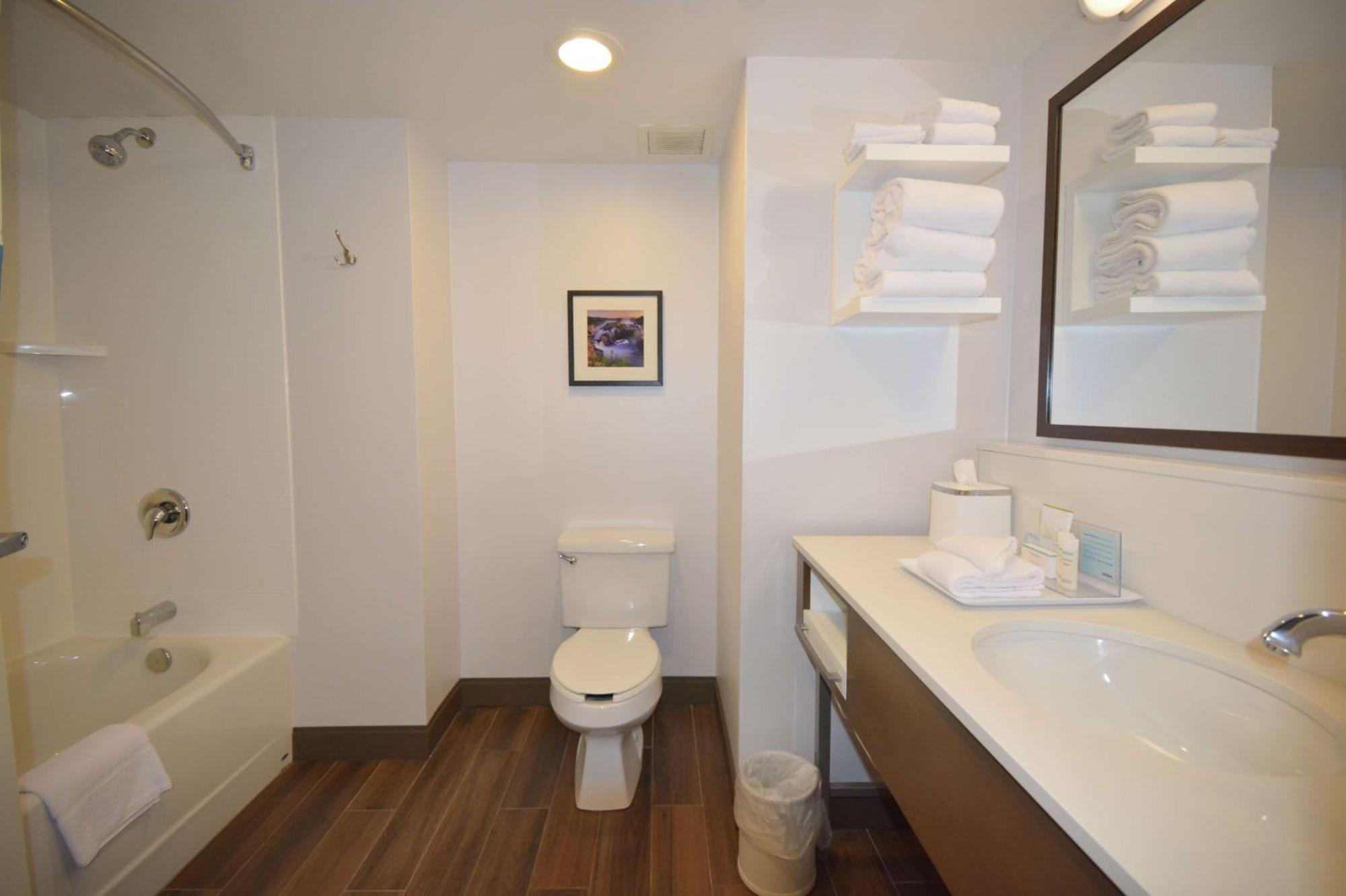 Hampton Inn Salem East - Electric Road Екстериор снимка