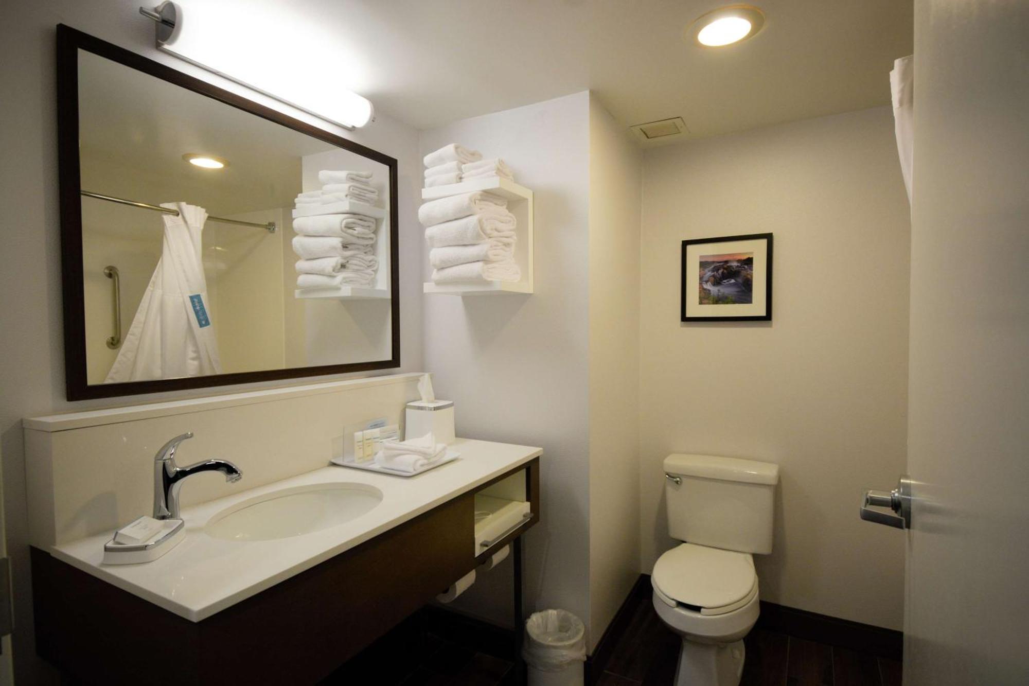 Hampton Inn Salem East - Electric Road Екстериор снимка